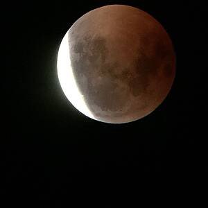 Mondfinsternis, K. Schinner Bild zeigt den Mond, der zu zwei Dritteln von der Sonne verdeckt wird